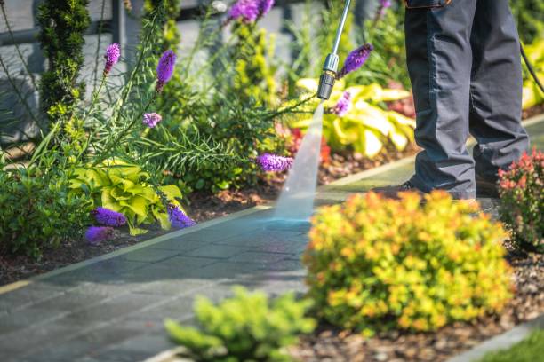 Best Parking Lot and Garage Cleaning  in Leisure City, FL